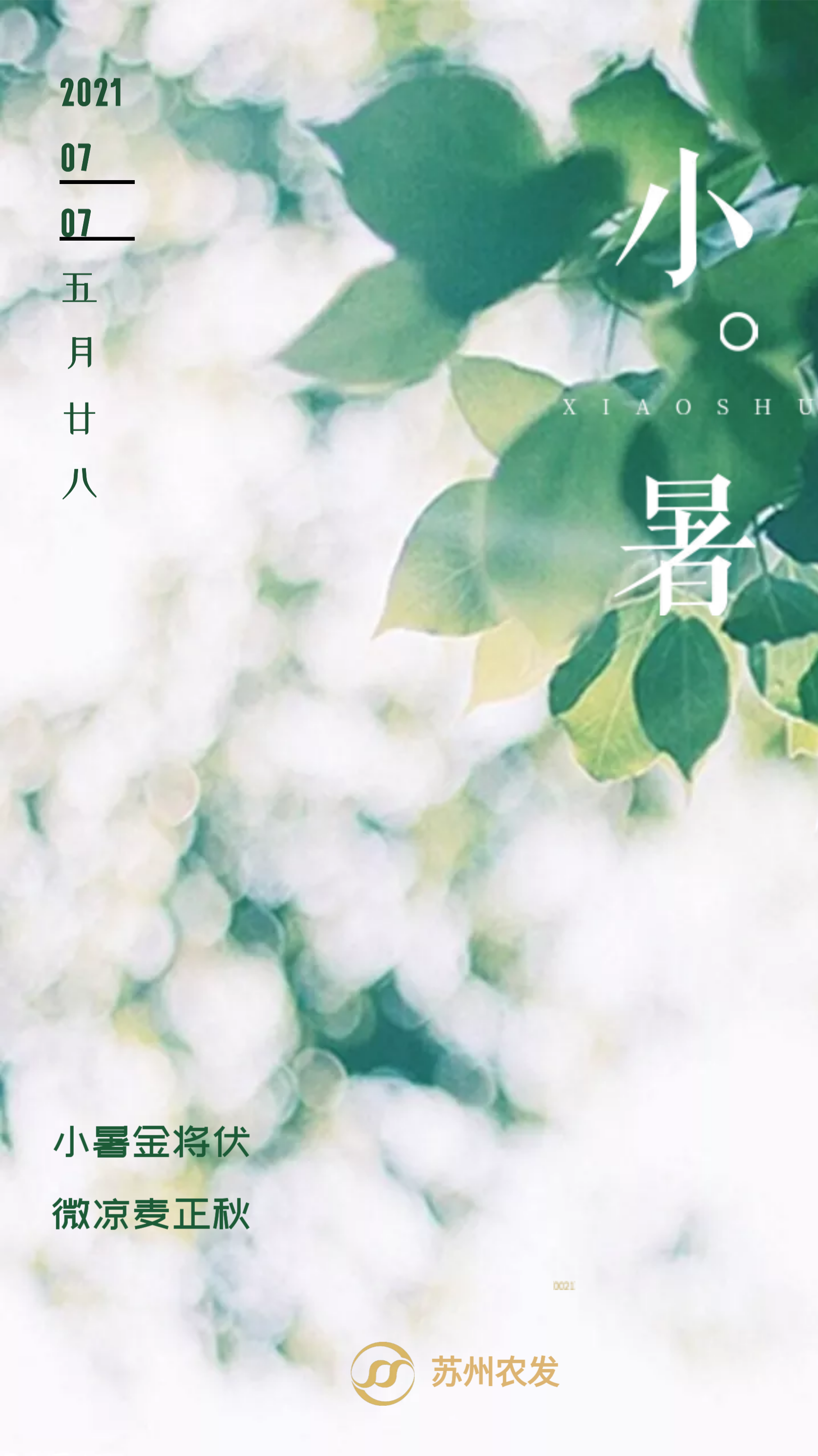 11����.png