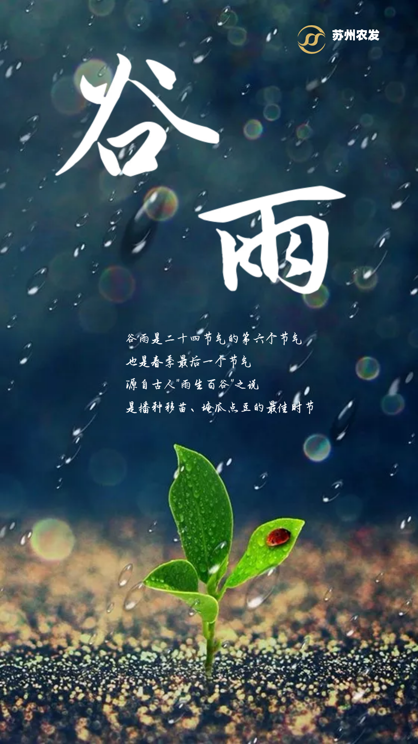 6����.png