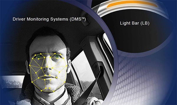 ag������ַ(�й�)����